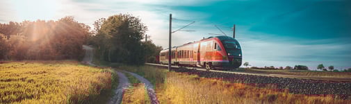 Train on railroad with lush environment in foreground of trees and sunshine