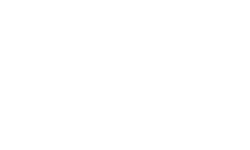 Sabre Logo White