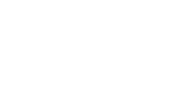 VZVZ Logo White